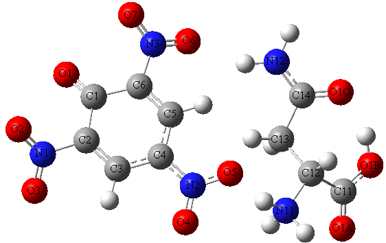 N.GÜNAY, H. PİR ve Y.ATALAY SAÜ Fen Edebiyat Dergisi (2011-1) Şekil 1.b. LASP molekülünün HF/6-31++G(d,p) metodu ile optimize edilmiş yapısı.