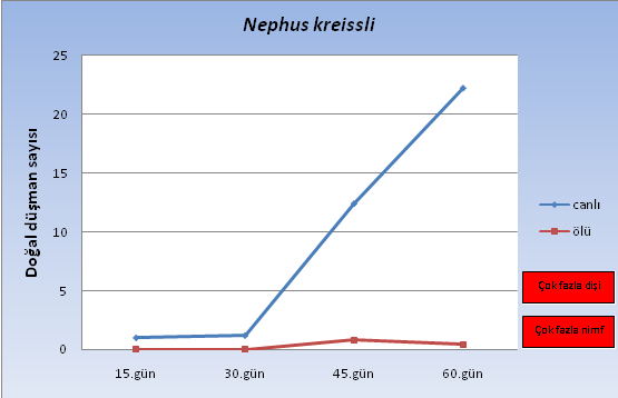 Çizelge 4.32 Nephus kreissli nin Planococcus ficus popülasyonu üzerine etkisi (ortalama ± standart hata) n Günler Canlı Nephus kreissli Ölü Kalan unlubit 5 15. gün 1,00 ± 0,00 - Çok az nimf 30.