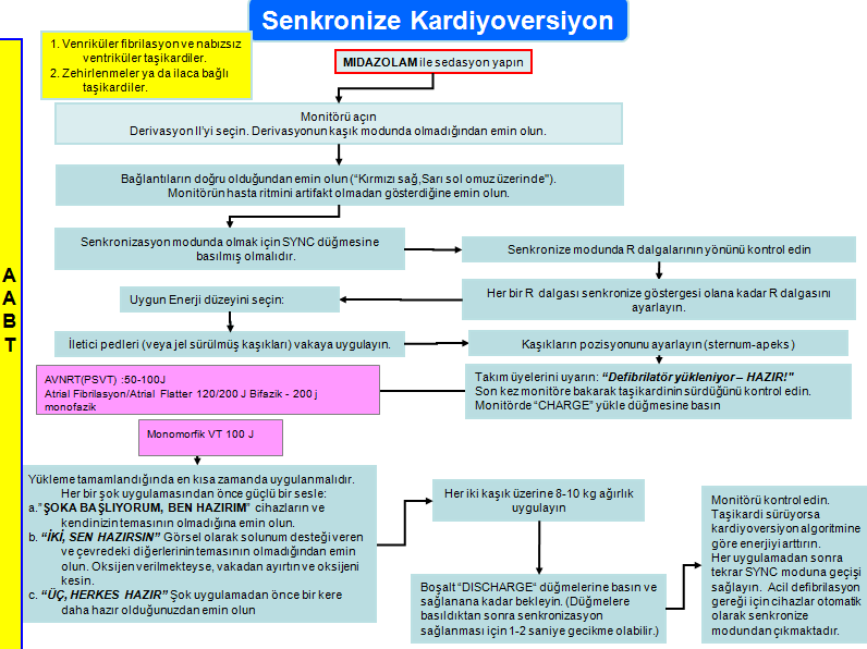 Şekil 2.2: Senkronize kardiyoversiyon algoritması 2.5.