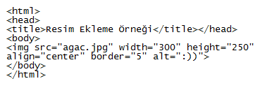 Örnek: Yukarıdaki kodları kaydedip çalıģtırdığımızda agac.jpg resmi sayfanıza Resim 4.