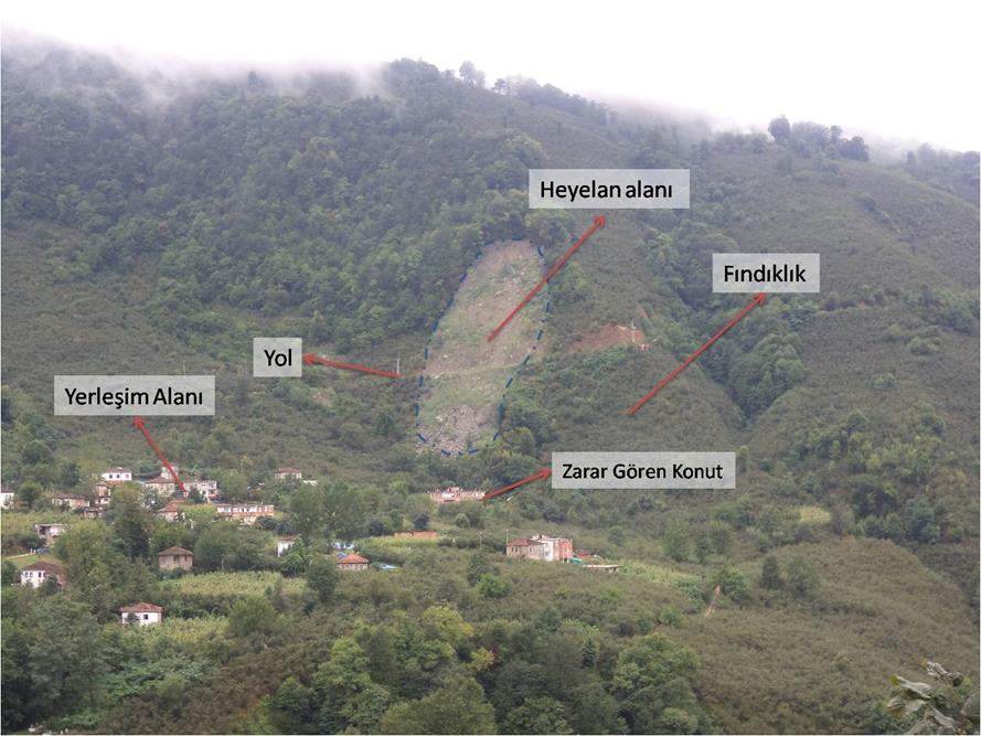 Şekil 2. Heyelan alanının karşı yamaçtan görünümü İklim Durumu Çalışma alanının sınırları içerisinde kaldığı Ordu ilinde dağların kıyıya paralel uzanması nedeniyle iki farklı iklim tipi görülmektedir.