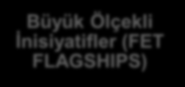 Projeleri Konu kısıtı yok Sürekli açık çağrı 2014 Bütçesi: 80 M Avro Kapanış 30/09/14 Kuluçka Dönemi (FET PROACTIVE) Açık araştırma kümeleri Konu odaklı Knowing, doing and being; cognition beyond