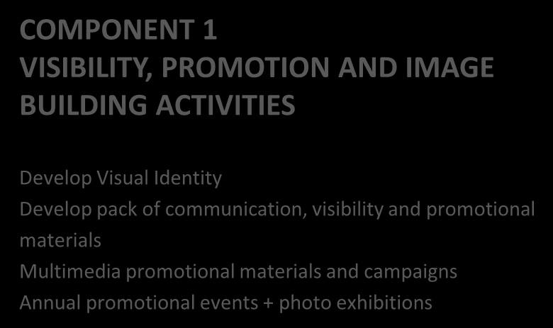 COMPONENT 1 VISIBILITY, PROMOTION AND IMAGE BUILDING ACTIVITIES COMPONENT 2 INFORMATION ACTIVITIES Develop Visual Identity Develop pack of communication, visibility and promotional materials