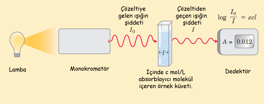 Şekil 5.7- Polifenol oksidaz enziminin katalizlediği oksidasyon reaksiyonunun mekanizması Bu reaksiyonda kullanılan katekol çözeltisi renksizdir, oluşan 1,2-benzokinon ise kahverengidir.