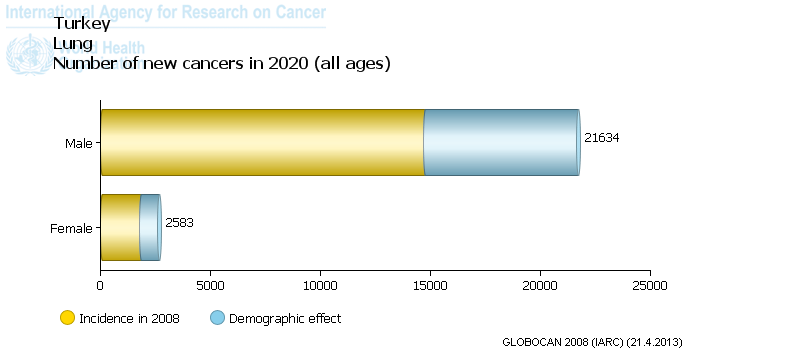 Türkiye kanser tahminleri GLOBOCAN 2008 (IARC) Yıl Erkek