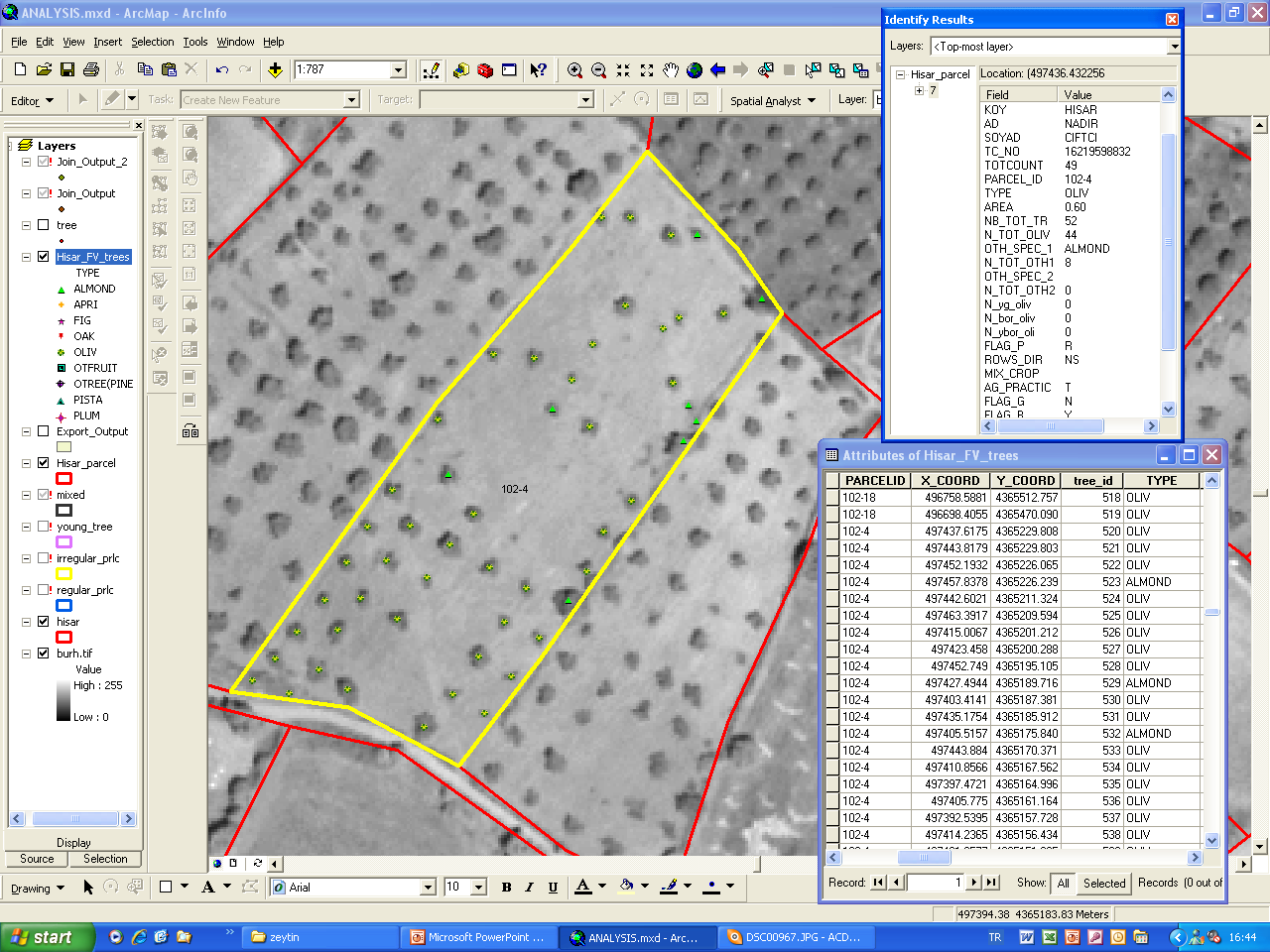 Determining Olive Growing Areas and Establishing Olive Database in Balikesir-Burhaniye.