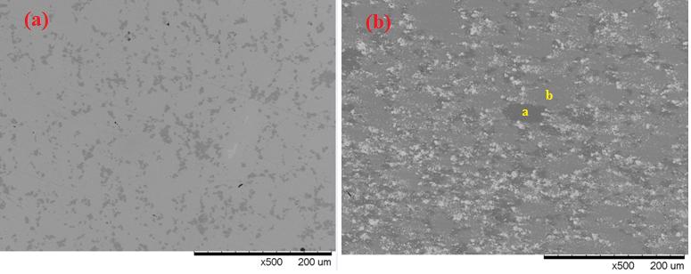 Şekil 4.13 : (a) 6 ve (b) 9 numaralı numunelere ait SEM görüntüsü. Şekilde koyu faz Fe, açık faz Cu bakımından zengindir. Bakır matris içinde demir adacıkları oluşmuştur.