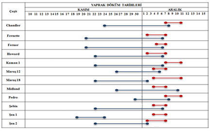 35 ġekil 4.11. AraĢtırma bahçesindeki çeģitlerin 2009 ve 2010 yılı yaprak döküm tarihleri 2009 yılı sonuçlarına göre, yaprak döküm tarihlerinin 02.12.