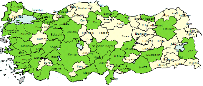 331 487 918 936 1,005 1,010 2005 ten beri açılan şubelerin %58 i