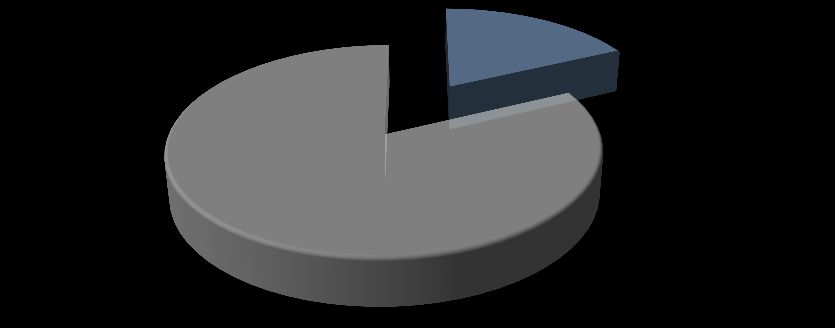 4. Denetim Personeli Yapısı 624 763 %18 139 %82 Merkez Birimler İl Müdürlükleri TOPLAM