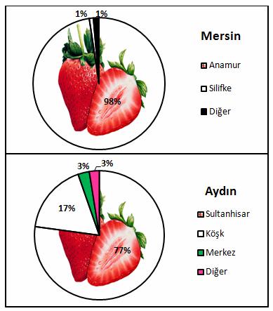 Sonuç olarak, çilek piyasalara sürüldüğünde henüz diğer meyvelerin fazlaca bulunmaması nedeniyle yoğun talep gören, bununla birlikte taze olarak tüketilebildiği gibi kurutulabilen, aynı zamanda da