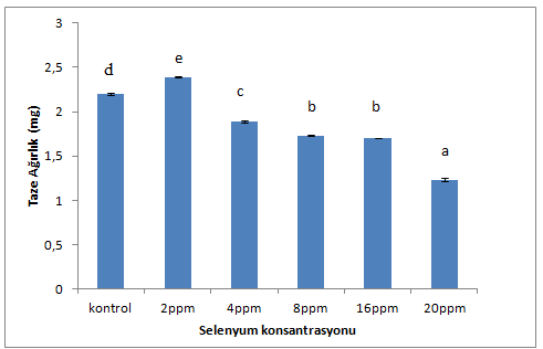 4.1.2. Selenyum uygulamasının bitkinin taze ve kuru ağırlığına etkisi Selenyum uygulanan bitkilerde selenyum dozu arttıkça, bitkilerin taze ağırlıkları azalmıştır.