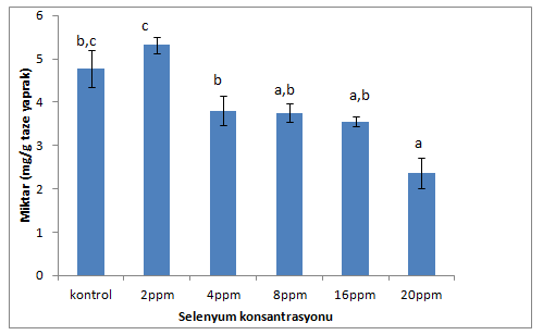 Ofis-95 çeşidinde kontrol ve 20 ppm selenyum uygulamaları karşılaştırıldıklarında, ortalama klorofil b farkları istatistiksel olarak önemli bulunmuştur (0,000699, p<0.05).
