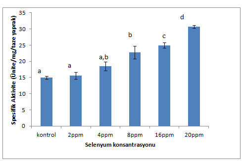 Ofis-95 çeşidinde kontrol ile 4, 8, 16 ve 20 ppm selenyum uygulamaları karşılaştırıldıklarında, aralarındaki farklar istatistiksel olarak önemli bulunmuştur (0,000338, p<0.05).