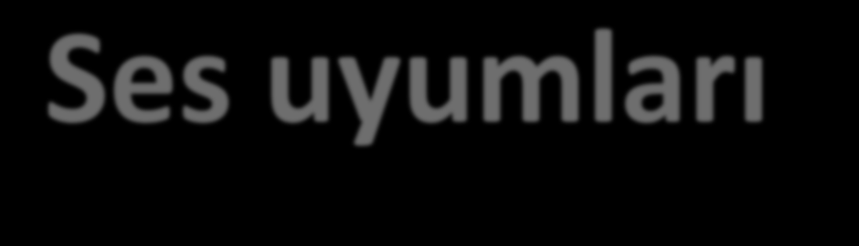 Ses uyumları Türkçede gerek sözcük köklerinde, gerek bu kökleri ile ekler arasında birtakım uyumlar vardır. Bu uyum sonucu Türkçe sözlerde ancak belirli seslerin bir arada bulunması olasıdır.