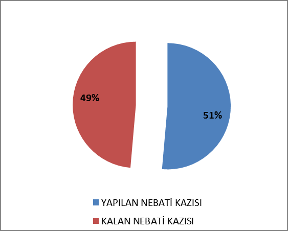 NEBATİ TOPRAK KAZISI İLERLEME DURUMU 19.06.2012 30.11.