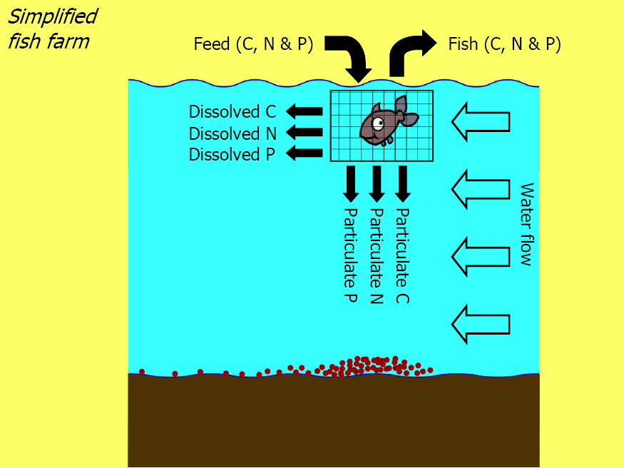 Besin Elementleri Dengesi 30 m Increased nutrients Feed