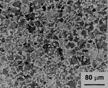 Şekil 2. 3: Ferrit-Perlit Yapısı nı n Hâki m Ol duğu Bir Mi kroalaşı mlı Çeli ğe Ait Genel Bi r Mi kroyapı Gör ünt üsü [11] Şekil 2.