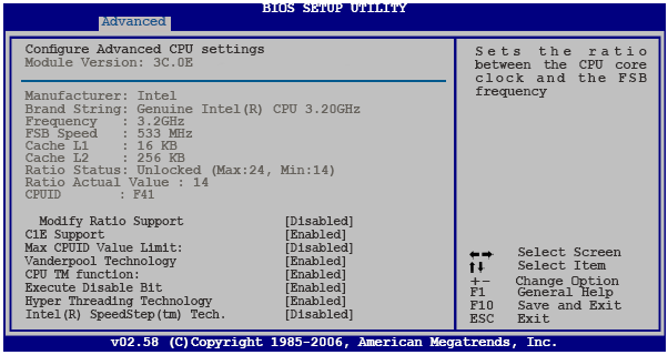 4.4.4 CPU Configuration M enüdekibu m addeler ile işlem cihakkındakibilgiler BIO S tarafından otom atik olarak tespit edilir.