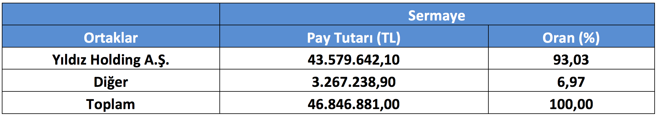 I-ŞİRKET TANITIMI 1.