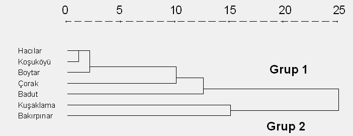 H.ARSLAN, D.YILDIRIM Şekil 2. Örnekleme dönemine ait dendogram Şekil 3.