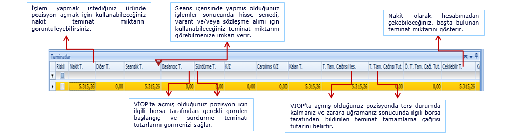 TM: TradeMaster Hesap Durumu Pay