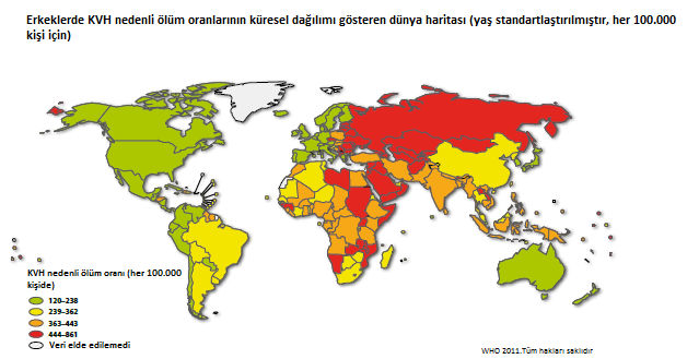 Bu ölümlerin %6 sı ise hipertansif kalp hastalığı nedeniyle gerçekleşiyor.