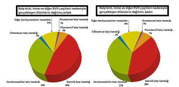 Kardiyovasküler Hastalık nedenli ölümlerin %36 sı ise serebrovasküler