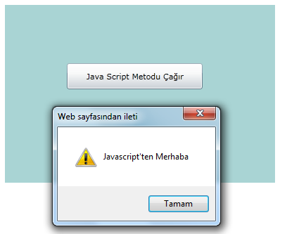 Yukarıdaki örnekte, ikinci ve üçüncü satırlardaki kodlarda, mesajgoster isimli javascript metodu elde edilip jsmetod isimli bir ScriptObject nesnesine atanmıştır.