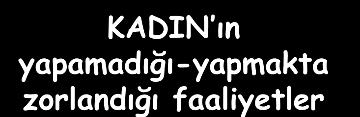 Kadının yapamadığı yapmakta zorlandığı faaliyetleri Girişimcilik Kredi kaynaklarına erişim Kamusal ilişkiler Karar alma