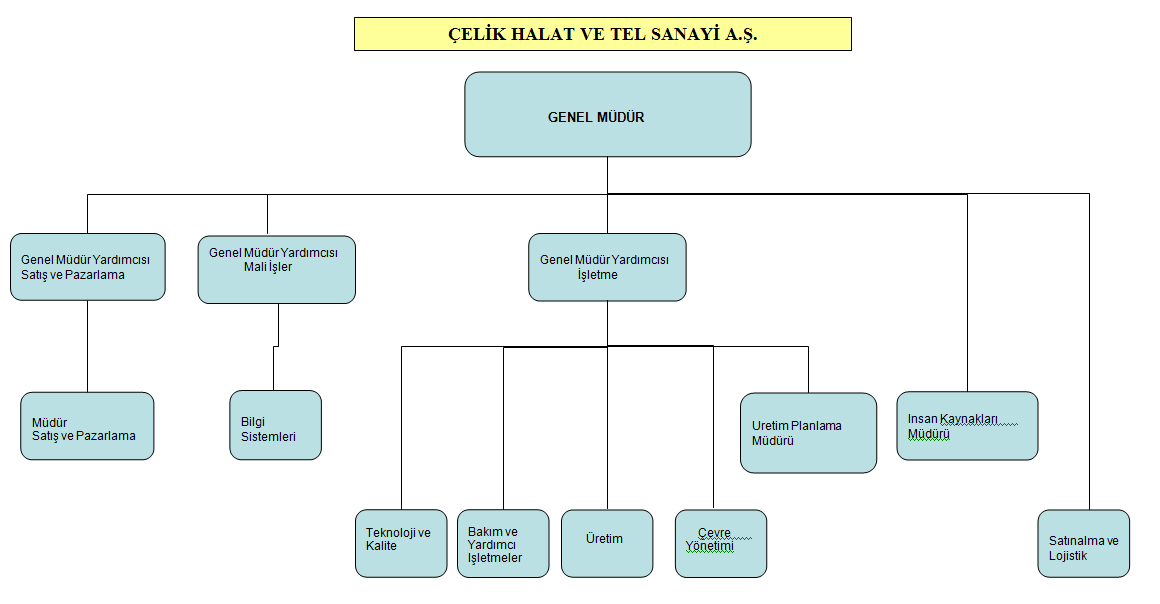 I.c-) ġirketin OrganizasyonYapısı,Sermaye ve