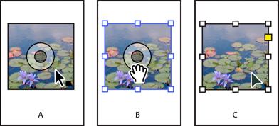 Şekil 2.32: Görüntüleri düzenlemek için Seçim aracını kullanma A. Fareyle bir görüntünün üzerine gelindiğinde içerik kavrayıcısı belirir. B. İçeriği seçmek için içerik kavrayıcısını tıklatın. C.