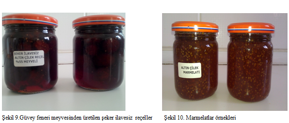 PROJEDE ELDE EDİLEN BULGULAR Araştırma kapsamında güvey feneri meyvesi hasat döneminde aylık analizlere tabi tutulmuş, kimyasal özellikleri belirlenmiş, meyvelerde belirlenen TKM, protein, kül ve