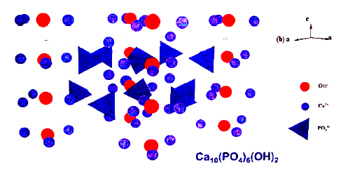 çözünebilir olduğunu göstermiştir [12,45,46]. Hidroksiapatit hekzagonal yapıda olup, kafes parametreleri a=0.9432 nm c=0.6881 nm dir. Ca/P oranı 1.67 dir. Gözeneksiz yoğunluğu yaklaşık 3.