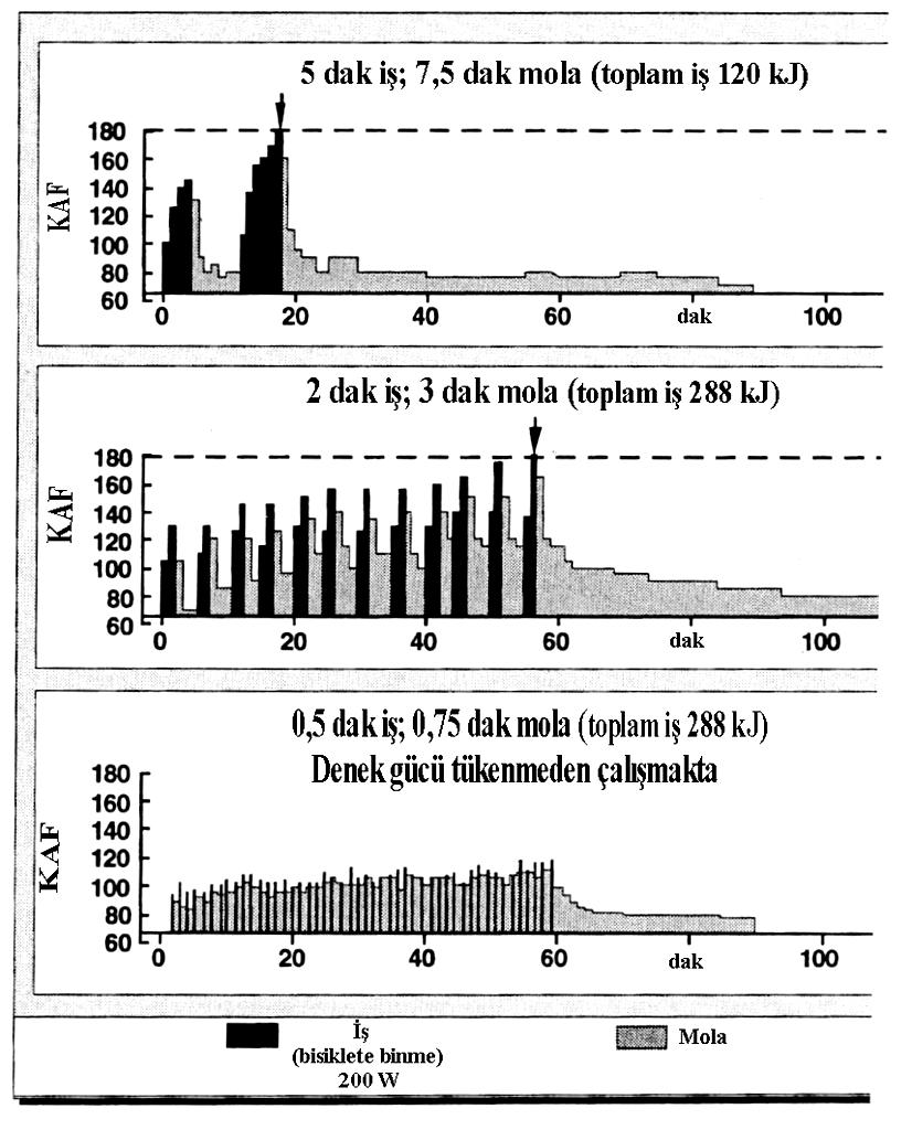 Mola düzenleme Molaların dinlendirme değeri, süresi uzadıkça