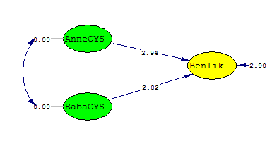 48 x²=7119,69 sd=4089 p=0,00000 RMSEA=0,078 Şekil-10 a göre, x ² ve sd değerlerinin x ²=7119,69 ve sd=4089 olduğu görülmektedir. Bu değerlerin oranlanmasıyla 1,74 oranı elde edilmektedir.