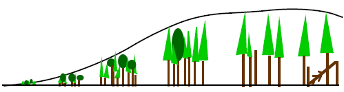 Meşcere Tipi 1.