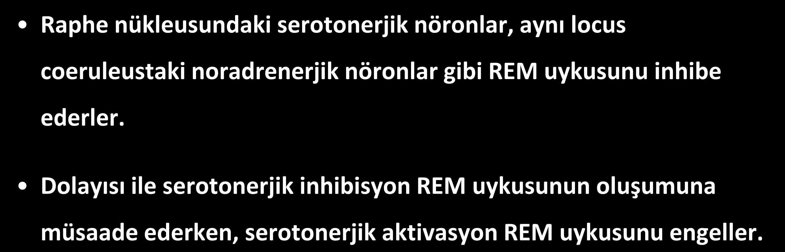 Serotonin REM uykusunu baskılar Raphe nükleusundaki serotonerjik nöronlar, aynı locus coeruleustaki noradrenerjik nöronlar gibi REM uykusunu