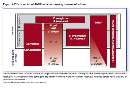 The evolving threat of antimicrobial resistance: options for action.