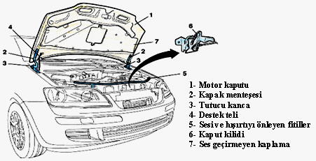 5.3. Üzerindeki Parçaları Motor kaputu üzerinde aşağıdaki parçalar bulunur: Kapak menteşeleri Tutucu kanca Destek teli