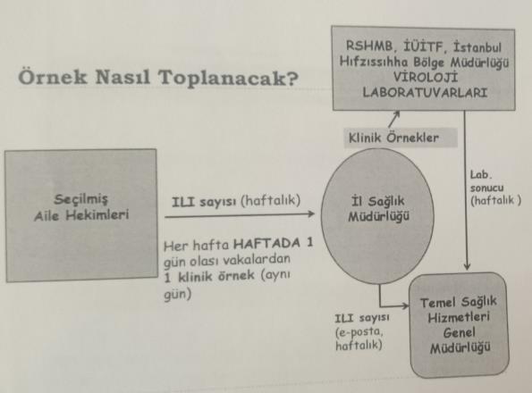 Türkiye Halk Sağlığı Kurumu Viroloji Laboratuvarı