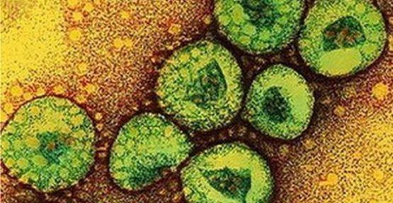 MERS-CoV HASTALIĞI Coronavirusler insanlarda çoğunlukla soğuk algınlığına sebep olan virüslerdir.