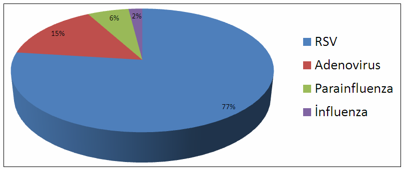 Şekil 1. Bronşiolit etkenleri İki yaşın altındaki çocuklarda bronşiyolitin en sık nedeni RSV dir ve olguların %50-90 ından sorumludur (Şekil 1) 22,23,24.