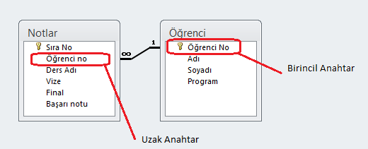 Tablo 1 Tablo 2 Alan Adı Alan tipi ve boyutu Alan Adı Alan tipi ve boyutu OgrNo Metin 10 OgrNo Metin 10 Adı Soyadı Metin 25 Ders Adı Metin 25 Program Metin 20 Vize Byte Şube Metin 1 Final Byte Tablo