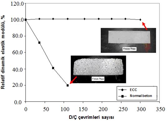 Donma Çözülme Direnci ASTM C 666-A Beton kiriş numunesi: 110 çevrim sonucunda kırılmıştır Dürabilite faktörü = 10 Numunelerde ciddi bozulma ve pullanmalar olmuştur ECC