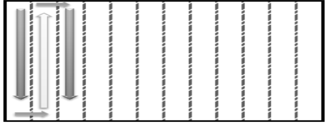 X 22 mm) taraması yapılarak birim alana (1 cm 2 ) düşen mikrofungus sporlarının miktarı belirlenmiştir (Charpin ve Surinyach, 1974). Araştırmada spor sayımı, Şekil 2.