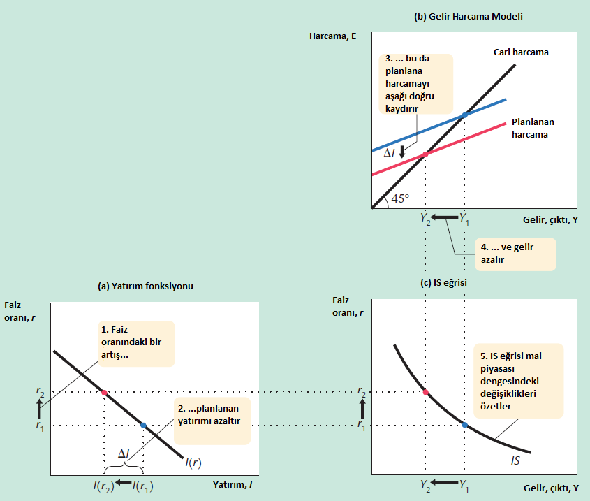 Faiz oranı, Yatırım ve IS Eğrisi Planlanan yatırımın (I) sabit olması basitleştirici bir varsayımdır. Ancak yatırım faiz oranına bağlıdır.