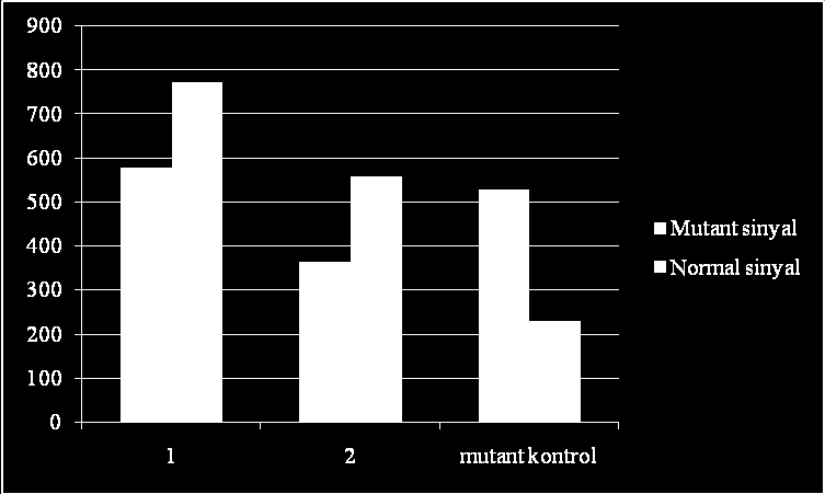 Çizelge 4.