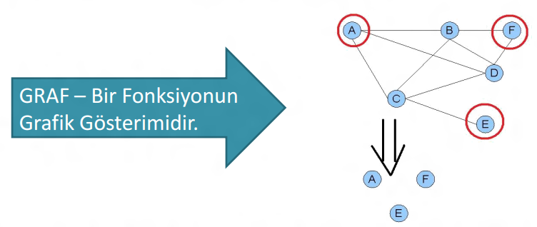 Hiyerarşik veri tabanı, KÖK, Ana dallar, Alt ve yan dallardan oluşur.