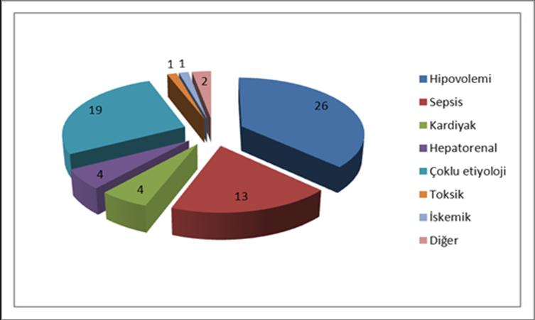 Grafik 1. Akut Böbrek Yetmezliğinde Etiyoloji Sistemik infeksiyonlar intirinsik böbrek yetmezliği nedenleri içinde en sık etiyolojiyi oluşturuyordu.